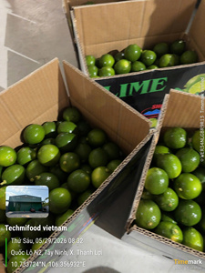Marca TECHMIFOOD, Limas Cítricas Frescas de Primera Calidad, Color Verde Oscuro, Sin Semillas, de Vietnam (4.5 kg), 45-60 Días de Duración, para Cocinar y Preparar Bebidas - Product Image 3