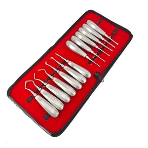 Juego de 13 piezas de fórceps manuales para extracción dental, elevadores dentales de acero inoxidable, alicates curvos para levantar raíces, herramienta quirúrgica para raíces - Product Image 2