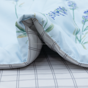 2024 Calisto CT220032 Ensemble de couette en microfibre Polyester doux de haute qualité Style moderne Tailles disponibles pour un usage domestique Full Twin - Product Image 3