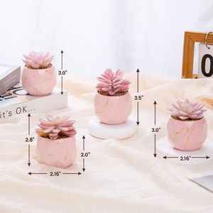 4 Vasi in Ceramica Rosa con Piante Succulente Artificiali, Graziose Piante Finte per Decorazione di Ufficio, Bagno, Cucina, Camera da Letto - Product Image 5