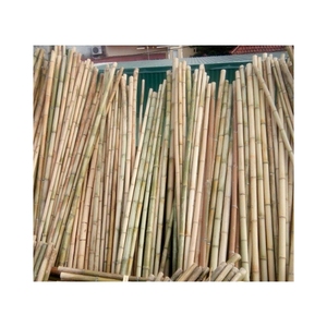 HIGH QUALITY Durable Bamboo <b>Pole</b> Perfect <b>For</b> Construction Scaffolding And Fence Building Eco Conscious Material <b>For</b> Projects - Product Image 6