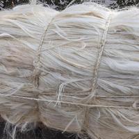 Chopped Sisal Fiber for Fiber-Reinforced Plastic