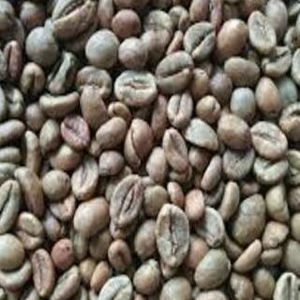 เมล็ดกาแฟโรบัสต้าเกรด A สีเขียว ผู้จัดจำหน่ายเมล็ดกาแฟ ขายส่ง ส่งออก - Product Image 3