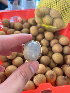 Longan Fresco de Primera Calidad Cultivado en Vietnam, Rico en Sabor, Cuidadosamente Seleccionado para Exportación y Mercados Internacionales de Alimentos - Product Image 5