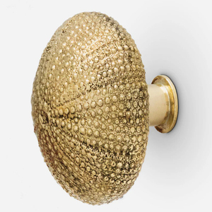 Urchin Cabinet <b>Knob</b> Coastal Style Round <b>Brass</b> <b>Knobs</b> - Product Image 2