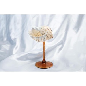 El vidrio de concha marina más vendido, perfecto para restaurantes, agrega un toque refinado a cualquier bar o mesa de comedor. - Product Image 4