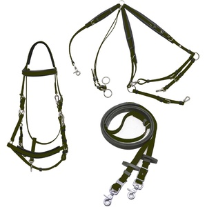 Brida de Resistencia para Caballo de PVC con Acolchado de EVA y Riendas, Juego Completo Modelo HRB-365 para Tamaños Full/Cob, Fabricante en India - Product Image 1