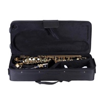 Starway OEM ODM Black Alto Saxophone E-Flat Low Moq Professional Concert Wind Musical Instruments for Band