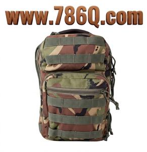 Sac à dos en Nylon de voyage Cool petit, sac à dos en toile de Construction pliable et élégant, à l'épreuve des odeurs - Product Image 1