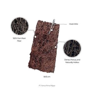 Placa de Placa de Araña Natural de Alta Calidad 15x8cm para Montaje de Orquídeas, Medio de Cultivo para Plantas Epífitas - Product Image 3