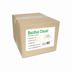 Polvo de Bacillus Clausii de la Mejor Calidad en su Zona de Origen - Product Image 2