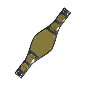 Comfortable Leather Lightweight <b>Wrestling</b> Training <b>Belt</b>-Custom Size High Quality Breathable & Eco-Friendly - Product Image 2