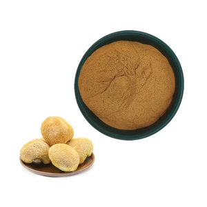 Poudre de champignon Crinière de lion 100 % pure OEM/ODM de qualité alimentaire pour le soutien de la santé cérébrale, la concentration et la fonction de mémoire - Product Image 3