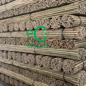 Eco2go Vietnam – Piquets en bambou 100 % naturel, design moderne et épuré, pour soutenir les semis, plantes en pot, fleurs et désherbage - Product Image 5