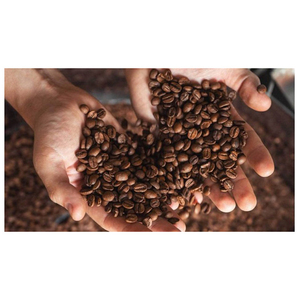 ขายส่งเมล็ดกาแฟอาราบิก้าคุณภาพพรีเมียม พร้อมส่ง เกรดอาหาร คุณภาพสูงสุด สำหรับส่งออกจำนวนมาก - Product Image 4