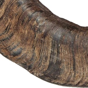 Corne creuse de buffle d'eau indien naturelle, toutes tailles, pour chien, technique brute, haute qualité, étanche, vente chaude - Product Image 5