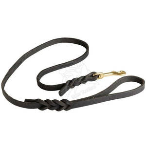 Correa y Collar para Perro de Alta Calidad, Diseñados para Caminatas Diarias, Cómodos y Elegantes, con Hebilla Segura y Agarre Suave - Product Image 5