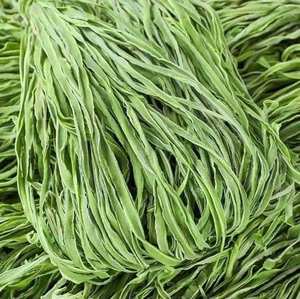 ผักเจลลี่ภูเขาอบแห้งพรีเมียม/ กงไช่ ราคาดีที่สุด ผลผลิตใหม่ จากซัพพลายเออร์เวียดนาม - Product Image 2