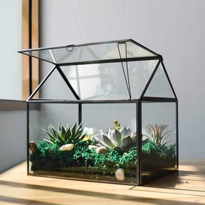 Terrario Pequeño Personalizado de Metal y Vidrio Negro, Macetero Moderno de Vidrio para Plantas de Interior, Suculentas, Plantas Aéreas y Terrarios DIY - Product Image 5