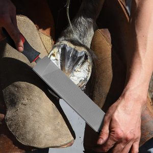 Râpes de 18 et 12 pouces pour le sablage des sabots de chevaux avec poignée, lime de coupe en acier au carbone, outils de fermeuse pour la réparation des sabots de chevaux et de chèvres - Product Image 5