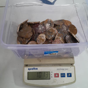 Vente en gros cabochon de jaspe rouge indonésien naturel de haute qualité pierres précieuses artisanat cristal de guérison 3x2,5 cm - Product Image 6