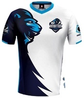 Camiseta deportiva de secado rápido para hombre, 100% poliéster, impresión por sublimación personalizada con logotipo de talla grande, ropa de deportes electrónicos barata en blanco - Product Image 2