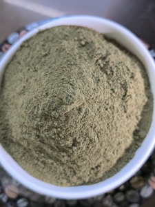 Polvo de Hoja de Moringa de Alta Calidad para Aplicaciones Alimentarias Comerciales, Polvo de Planta Natural para Distribución y Empaque al por Mayor - Product Image 3