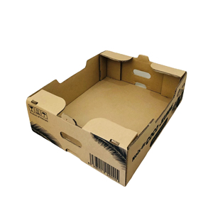 Boîte en carton recyclé pour patates douces, style basique OEM, auto-érectrice, emballage d'expédition économique en papier - Product Image 1