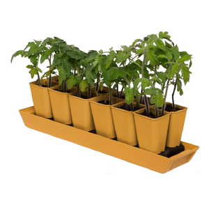 Kit de démarrage de semis XL Gardener's Best - Product Image 1