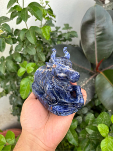 Statue de taureau Nandi en sodalite naturelle sculptée à la main |   Idole hindoue de Shiva en pierre précieuse bleue |   Fournisseur en gros de décorations d'autels spirituels - Product Image 2