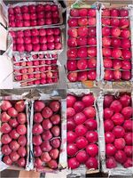 Hoge kwaliteit oogstproductie verse Fuji-appels met natuurlijke versheid en veilige verpakking voor wereldwijde fruitimportaars