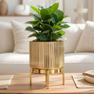 Macetas de Hierro de Diseño Moderno al Mejor Precio, Artesanía India de Alta Calidad, Macetas para Plantas y Flores, Decoración Personalizada para el Hogar - Product Image 1