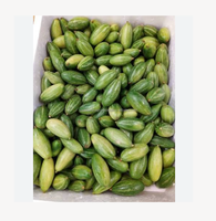 Verse groene puntige komkommer, premium kwaliteit groente uit Bangladesh. Verse puntige komkommer, hoogwaardige groene groente uit Bangladesh.