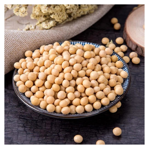 Soybean Seeds Non-GMO High Germination Agricultural Planting Seeds Farm Crop Wholesale Bulk Supply Export Supplier - Product Image 4