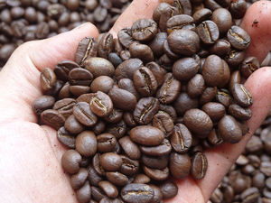 เวียดนามส่งออกกาแฟโรบัสต้าออร์แกนิกคั่วบด คุณภาพสูง ปริมาณมาก ได้รับการรับรองมาตรฐาน ISO 22000 ความเสียหายต่ำ - Product Image 2