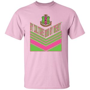 Camiseta Rosa de Manga Corta con Estampado Gráfico de Escudo con Letras Griegas, Cuello Redondo, Informal, para Mujer, Moda Urbana - Product Image 1