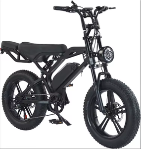 READY TO SHIP 20-Inch <b>Electric</b> Mountain B1ke Power 500W Rear <b>Hub</b> Motor Disc Brake City with Steel Frame - Product Image 2