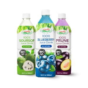Jugo 100% Natural de Arándanos en Botella de 500 ml, Fabricante de Bebidas de Vietnam, OEM, Marca Privada para Venta al por Menor, Muestra Gratuita - Product Image 4