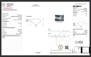 Stonewels Diamant CVD de laboratoire 1,57 ct, certifié IGI, taille fantaisie, en forme de chien Teckel, diamant non monté, expédition immédiate, pendentif personnalisé, cadeau commémoratif pour animal de compagnie - Product Image 2