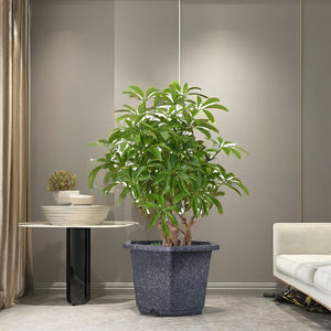 กระถางปลูกต้นไม้ทรงหกเหลี่ยมทำจากพลาสติกสำหรับตกแต่งบ้านและสวน - Product Image 1