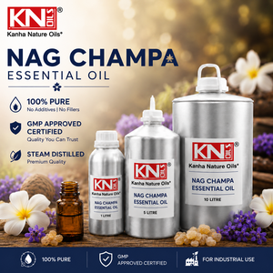 Aceite Esencial de Nag Champa 100% Puro, Certificado Orgánico, Plumeria rubra, Fabricante, Mayorista, Proveedor Directo de Fábrica, Exportador a Granel - Product Image 2
