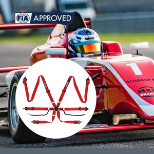 TBRACING Sport Plus Racing Harness With Fast Adjust System And Smooth Cam Lock Mechanism OEM Private Label For Automotive Brands - Product Image 2