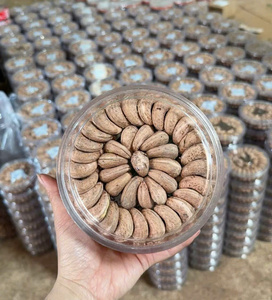 เม็ดมะม่วงหิมพานต์อบพรีเมียมจากเวียดนาม - ขนมขบเคี้ยวมีคุณค่าทางโภชนาการ - เนื้อกรุบกรอบ - ขายส่งจำนวนมาก - ผู้ส่งออกที่เชื่อถือได้ - Product Image 1