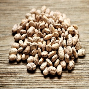 Haricots Pinto en vente : saveur exceptionnelle, qualité constante et prix de gros compétitifs pour les entreprises agroalimentaires - Product Image 4