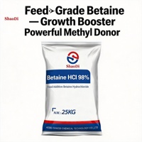 Bétaïne Anhydre 96% CAS 107-43-7 Donneur de Méthyl pour Poulets de Chair, Dindes, Canards, Additif Alimentaire en Poudre pour Volailles