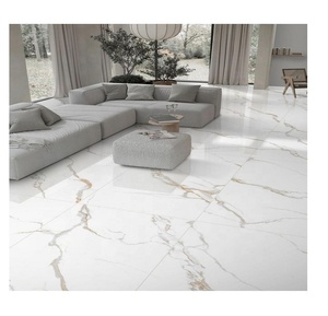 Azulejos de Porcelana de 600x600 mm de Fábrica KC Gujarat, 8.5 mm de Espesor, Resistentes al Agua y al Fuego, Bordes Rectificados, Azulejos de Pared Interiores de Alta Calidad - Product Image 5
