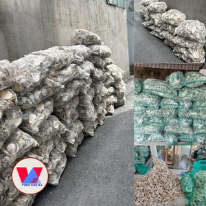 Poudre de coquille d'huître pure, granulométrie 100-200, source de carbonate de calcium, coquilles marines blanches concassées pour le ciment, la brasserie, le filtrage et l'entretien - Product Image 4