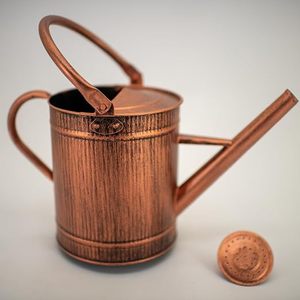 Handcrafted Copper <b>Watering</b> <b>Can</b> for Indoor Outdoor Plants Garden Home Decor <b>Vintage</b> Metal Plant <b>Watering</b> cane with Long Spout - Product Image 2