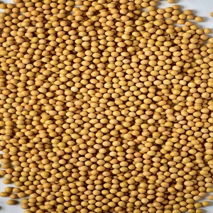 Graines de Soja en Gros pour la Plantation, Qualité Alimentaire, Bénin, Non-OGM, Sac de 20 kg, Jaune, Durée de Conservation 24 Mois - Product Image 6