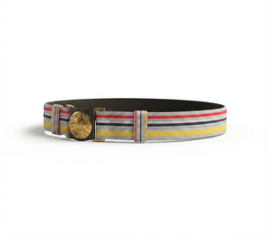 Ceintures d'accessoires de cérémonie de qualité supérieure Boucle en métal réglable sur mesure avec ruban Ceintures d'excellence souveraine - Product Image 4